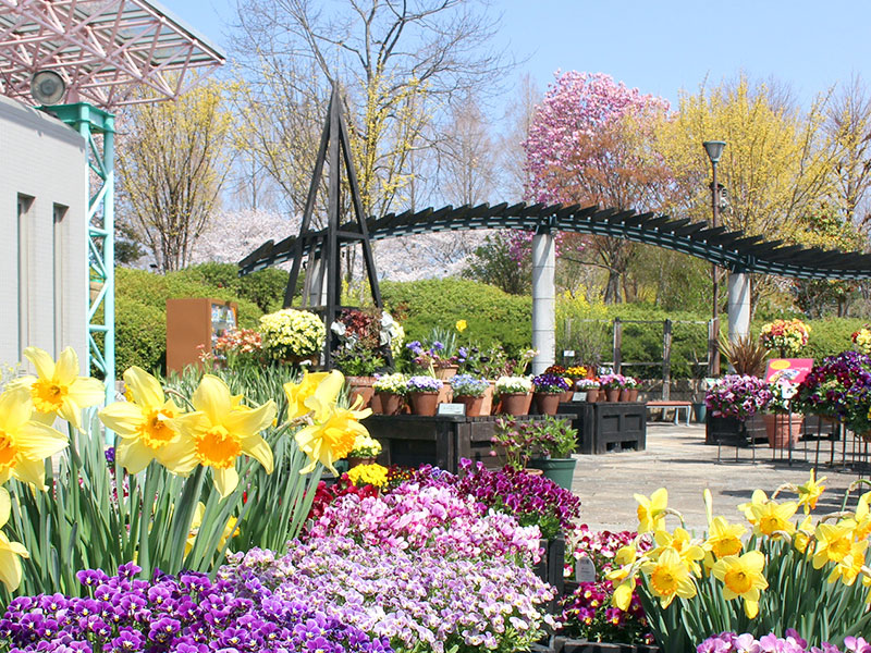 水生植物公園みずの森
