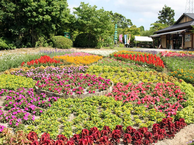 福智山ろく花公園
