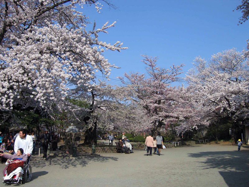 水沢公園