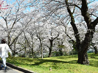 お物見公園