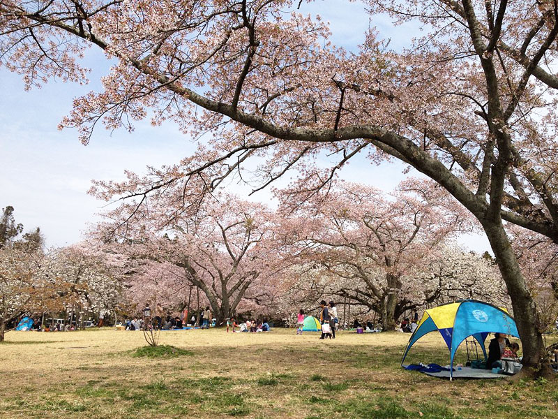 三神峯公園