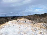 三本木秋田西沢桜公園