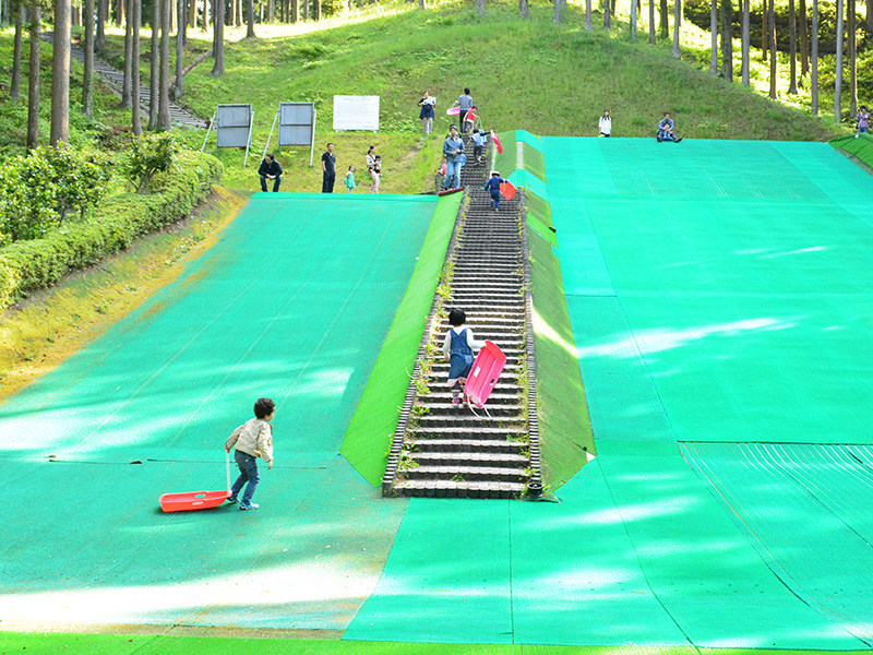 大亀山森林公園