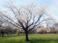 多賀城みずむすび公園