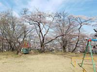 千歳山公園