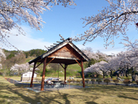 東平田さくら公園