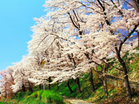 烏帽子山公園