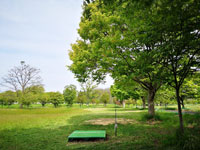 八幡原公園