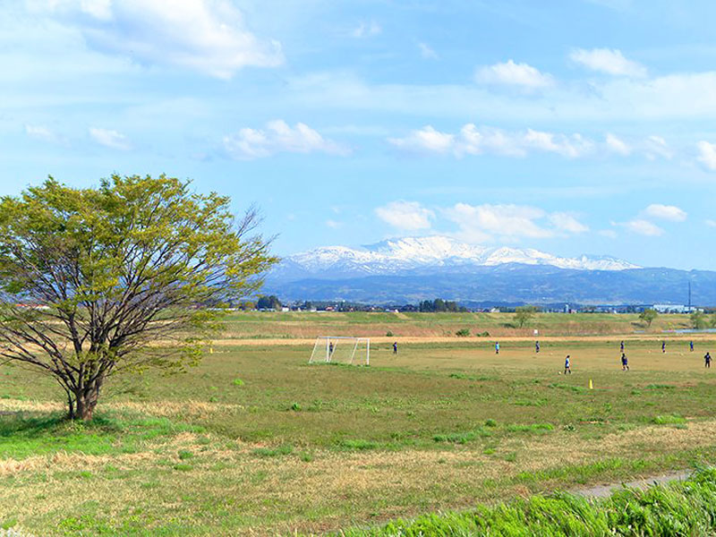 赤川河川緑地