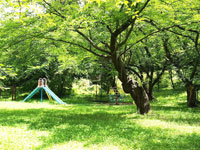 若木山公園