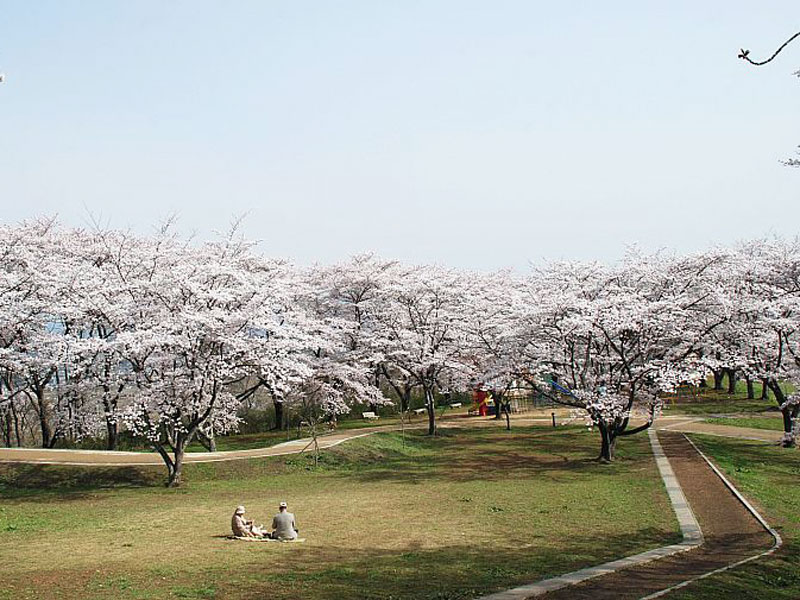 大森城山公園