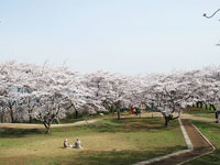 大森城山公園