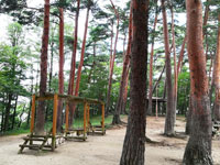 成山公園