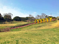 三崎公園