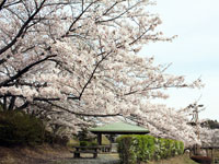 上荒川公園