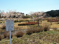 新田川大原水辺公園