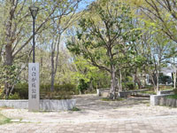 百合が丘公園