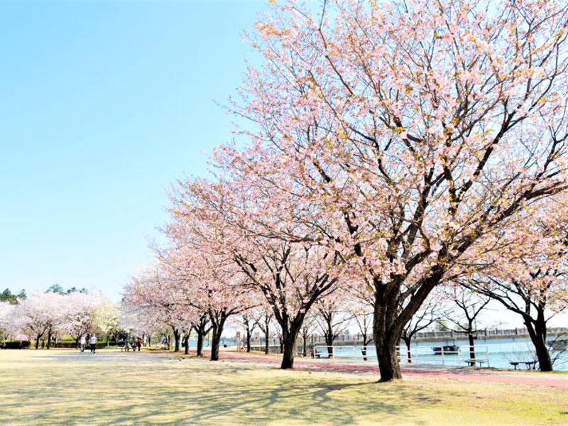 砂沼広域公園