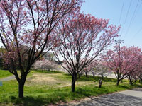 きぬふれあい公園