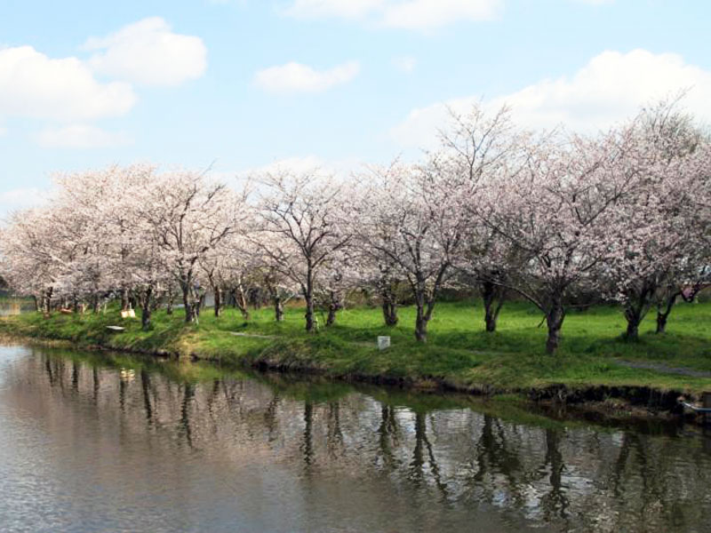 吉野公園