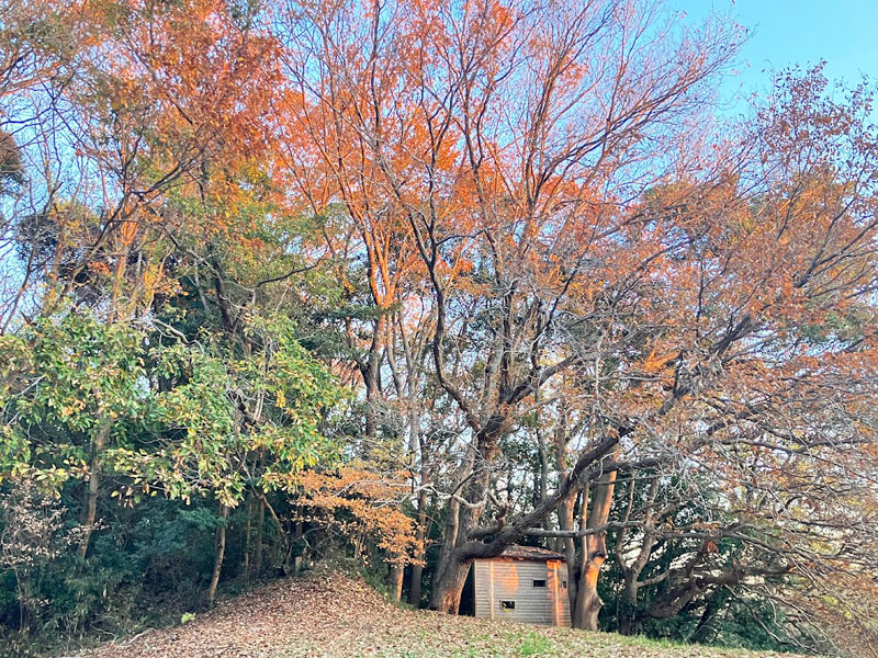 利根川自然公園