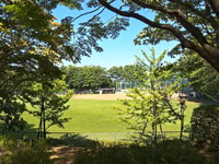桜南スポーツ公園
