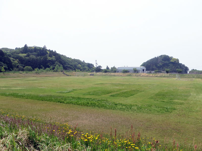 津賀城址公園