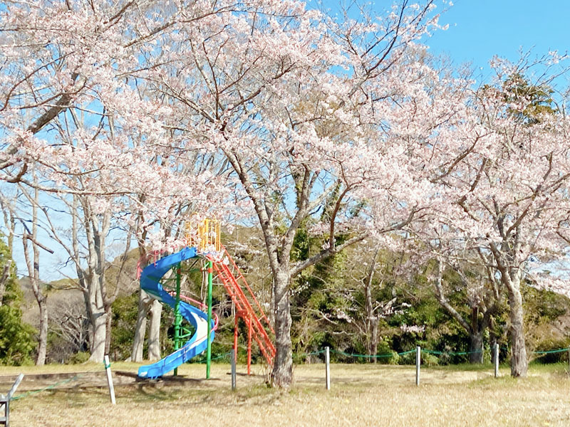 羽黒山公園