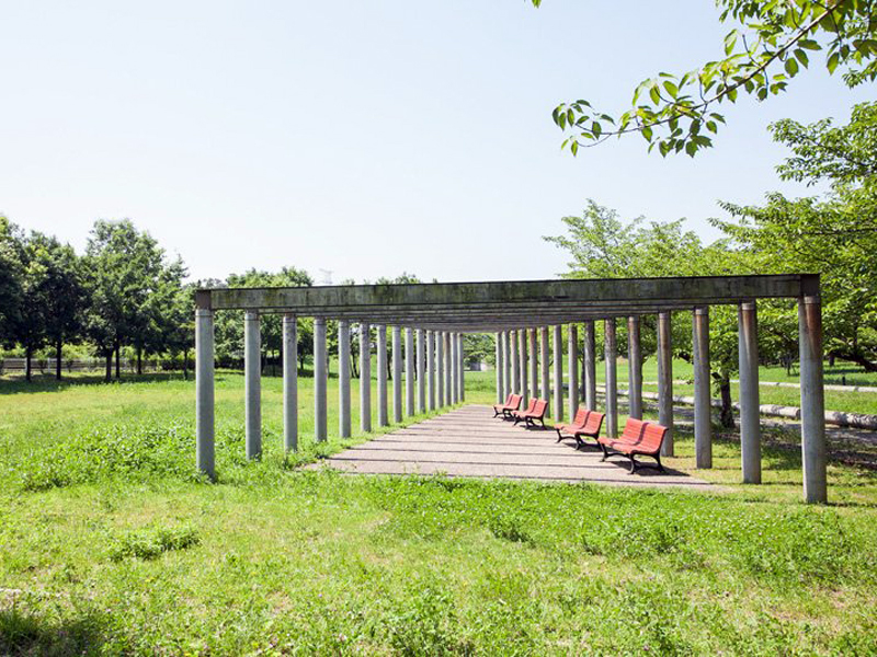 ひたち野さくら公園