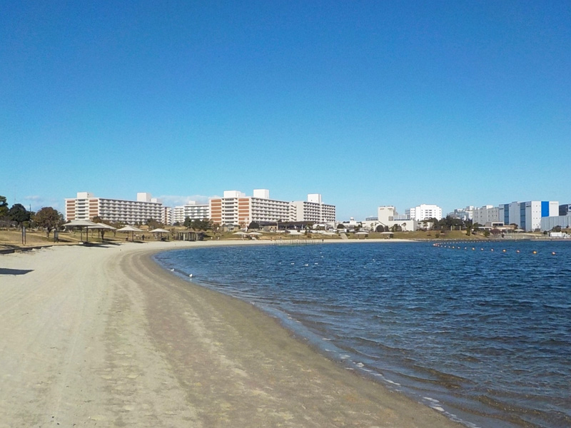 大森ふるさとの浜辺公園