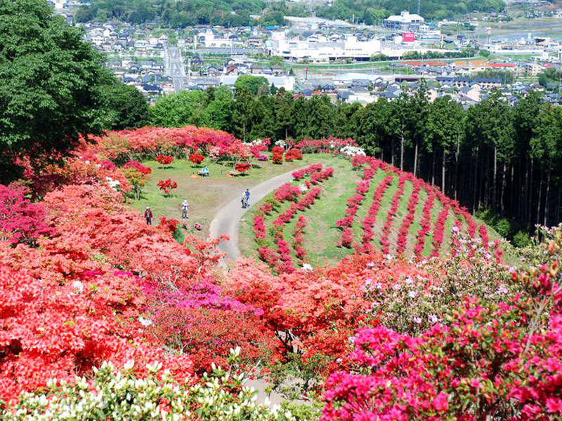 笠間つつじ公園