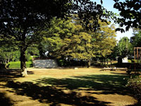 大山公園