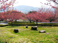 富谷山ふれあい公園