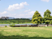 昆陽池公園