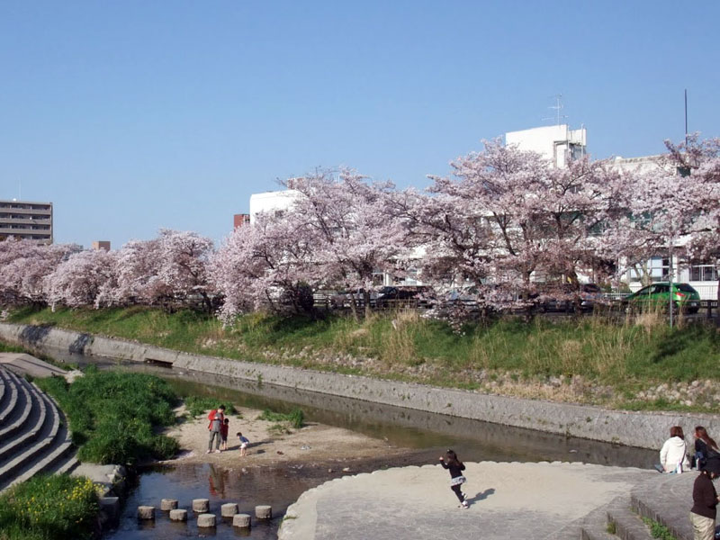 大中公園