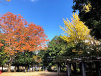 椿峰中央公園