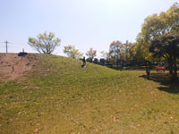 大利根運動公園