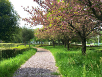 星子沼公園