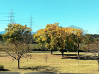 下奥富河川敷公園