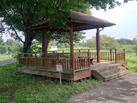 天神池公園