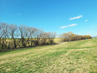 江戸川北運動公園