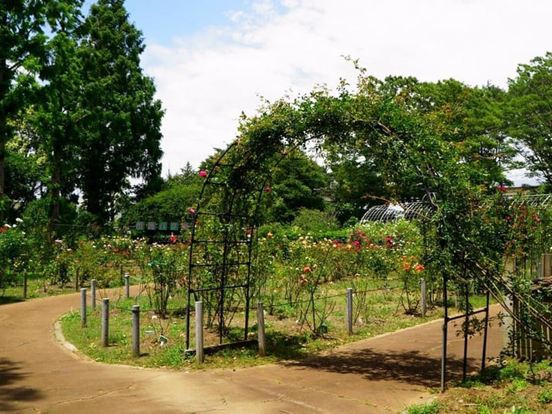 千葉市都市緑化植物園