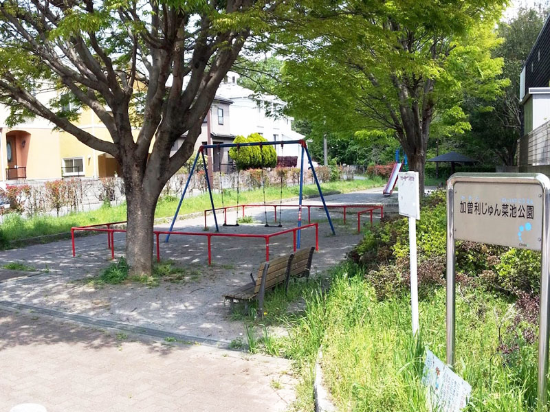 加曽利じゅん菜池公園