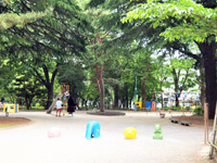 松戸中央公園