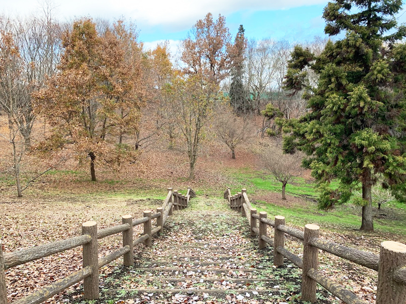 直弥公園