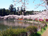 八鶴湖公園