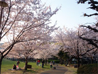 若潮公園