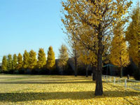 三室西公園