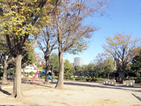 中木戸公園