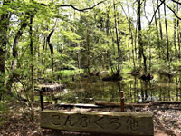 こんぶくろ池公園